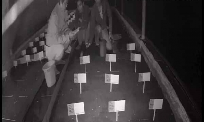 Menemukan Penyu Bertelur di Pantai Pulau Santen