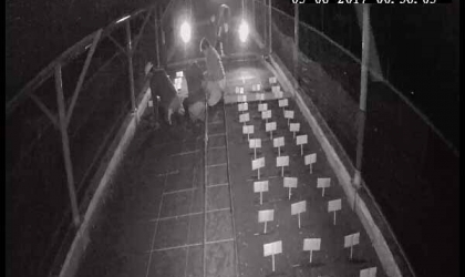 Menemukan Penyu Bertelur di Pantai Pulau Santen