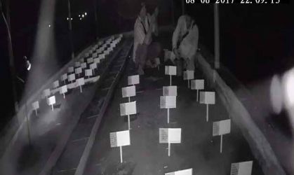 Menemukan Penyu Bertelur di Pantai Boom