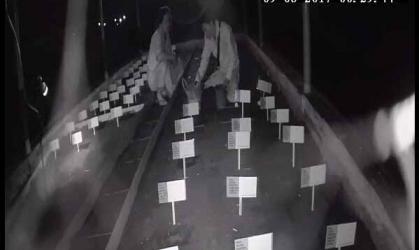 Menemukan Penyu Bertelur di Pantai Pulau Santen