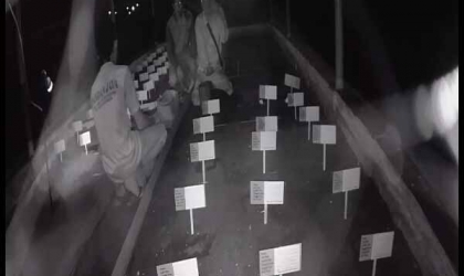 Menemukan Penyu Bertelur di Pantai Boom