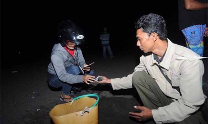 Menemukan Penyu Bertelur di Pantai Boom