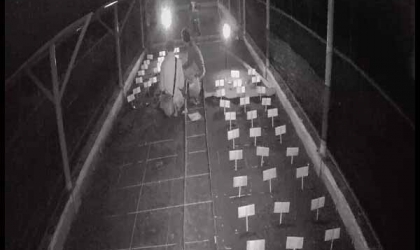 Menemukan Penyu Bertelur di Pantai Boom