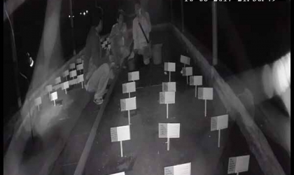 Menemukan Penyu Bertelur di Pantai Pulau Santen