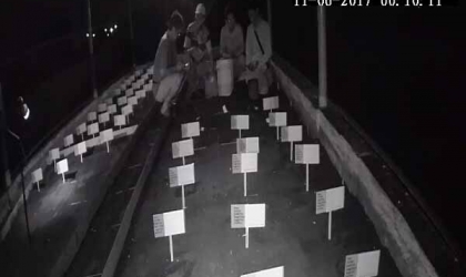 Menemukan Penyu Bertelur di Pantai Boom