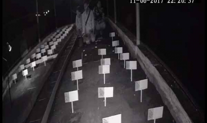 Menemukan Penyu Bertelur di Pantai Pulau Santen