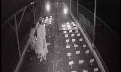 Menemukan Penyu Bertelur di Pantai Kramat