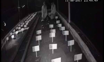 Menemukan Penyu Bertelur di Pantai Kramat