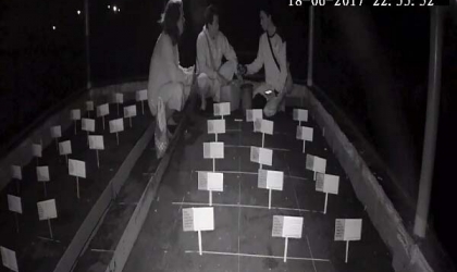 Menemukan Penyu Bertelur di Pantai Boom