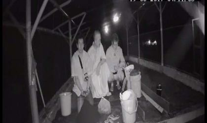 Menemukan Penyu Bertelur di Pantai Kramat