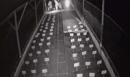 Menemukan Penyu Bertelur di Pantai Kramat