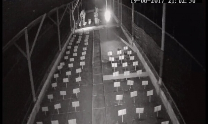 Menemukan Penyu Bertelur di Pantai Boom