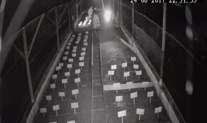 Menemukan Penyu Bertelur di Pantai Mirah