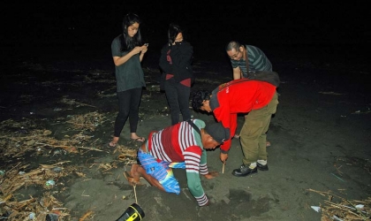 Menemukan Penyu Bertelur di Pantai Boom