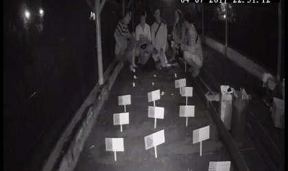 Menemukan Penyu Bertelur di Pantai Boom