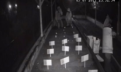 Menemukan Penyu Bertelur di Pantai Pulau Santen