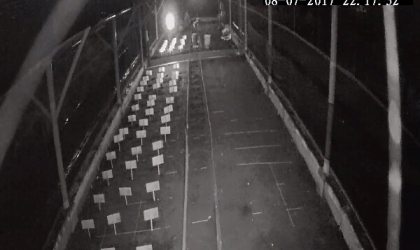 Menemukan Penyu Bertelur di Pantai Boom