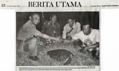 Penyu Berdiameter 1 Meter Tersangkut Jaring
