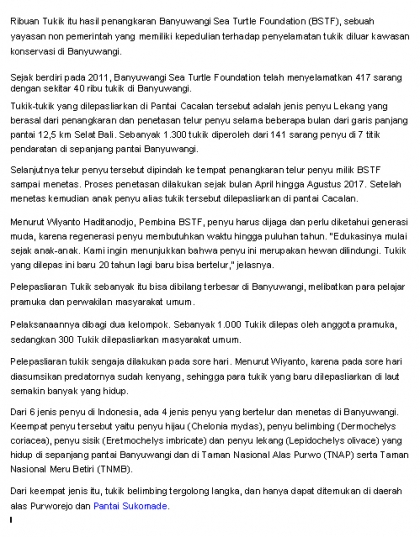 Pelepasliaran Tukik Bersama Pramuka & Masyarakat