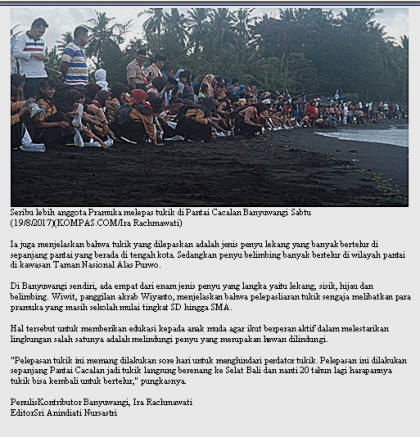 Pelepasliaran Tukik Bersama Pramuka & Masyarakat