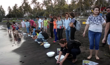 Pelepasliaran Tukik Bersama Wa Ing