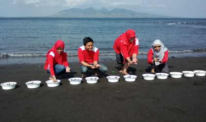 Pelepasliaran Tukik Bersama Indofood