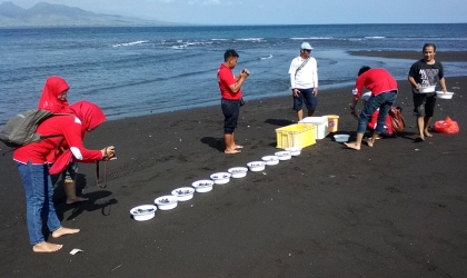 Pelepasliaran Tukik Bersama Indofood