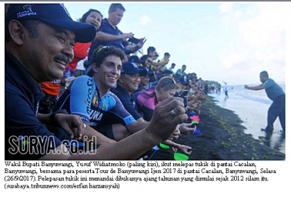 Pelepasliaran Tukik Bersama Tour de Ijen Banyuwangi 2017