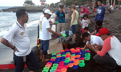 Pelepasliaran Tukik Bersama Tour de Ijen Banyuwangi 2017