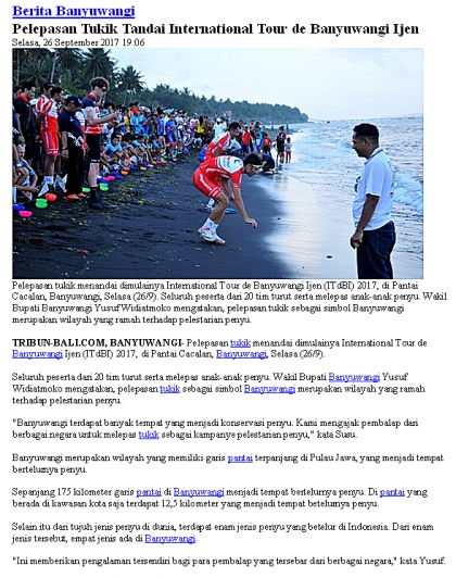 Pelepasliaran Tukik Bersama Tour de Ijen Banyuwangi 2017