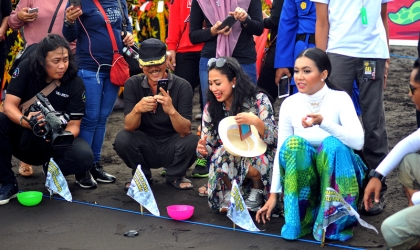 Pelepasliaran Tukik Dalam Event Gandrung Sewu 2017