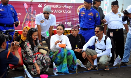 Pelepasliaran Tukik Dalam Event Gandrung Sewu 2017