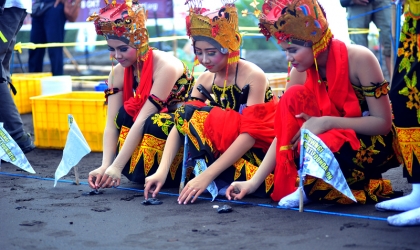 Pelepasliaran Tukik Dalam Event Gandrung Sewu 2017