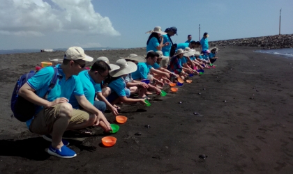 Pelepasliaran Tukik Bersama Pesona Ijen