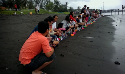 Pelepasliaran Tukik Bersama Alumni Kedokteran Unibraw