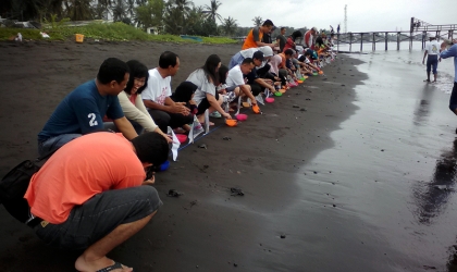 Pelepasliaran Tukik Bersama Alumni Kedokteran Unibraw