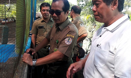 Kunjungan Kepala BBKSDA 