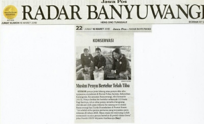 Menemukan Penyu Bertelur di Pantai Santen