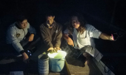 Menemukan Penyu Bertelur di Pantai Santen