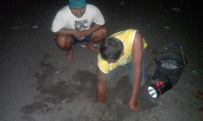 Menemukan Penyu Bertelur di Pantai Boom