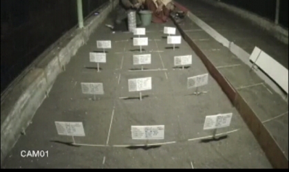 Menemukan Penyu Bertelur di Pantai Santen