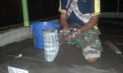 Menemukan Penyu Bertelur di Pantai Boom
