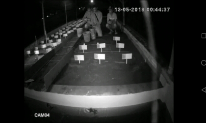 Menemukan Penyu Bertelur di Pantai Santen