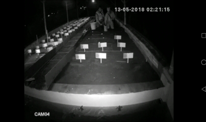 Menemukan Penyu Bertelur di Pantai Boom