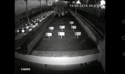 Menemukan Penyu Bertelur di Pantai Sobo