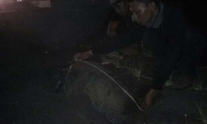 Menemukan Penyu Bertelur di Pantai Boom