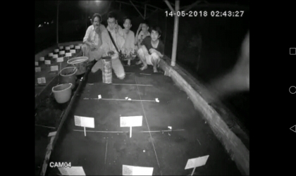 Menemukan Penyu Bertelur di Pantai Santen