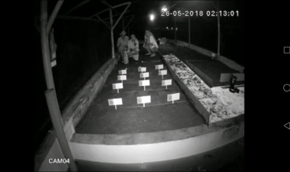 Menemukan Penyu Bertelur di Pantai Boom