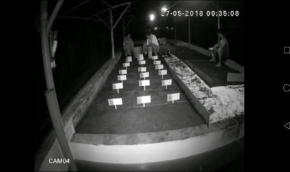 Menemukan Penyu Bertelur di Pantai Boom