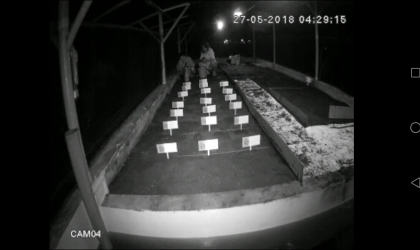 Menemukan Penyu Bertelur di Pantai Santen